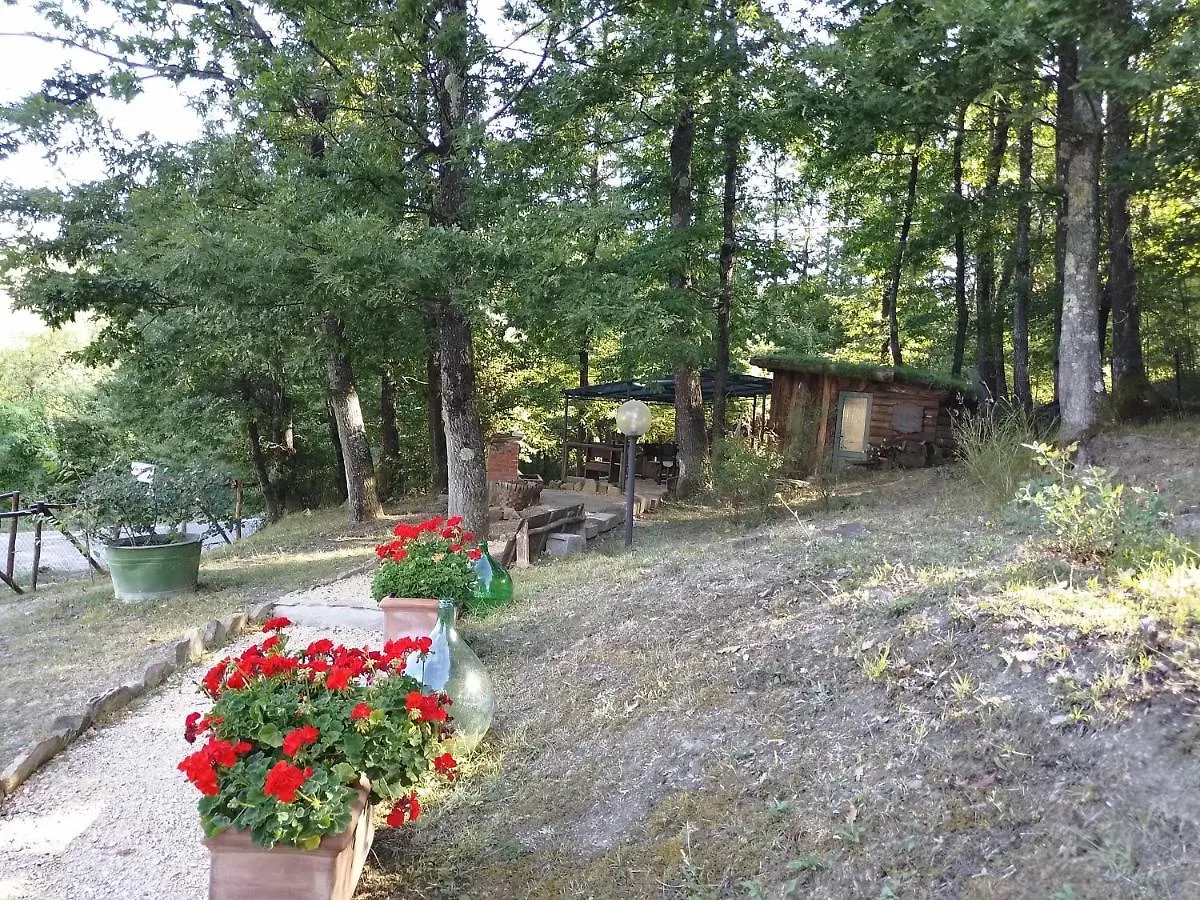 Affittacamere La Casa di Alma Roncobillaccio